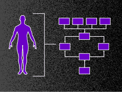/images/products-suite/deepPumas/hierarchical-correlations.png